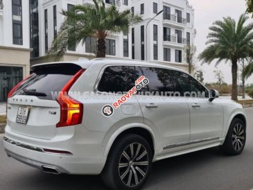 Màu trắng, xe nhập