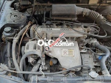 Xe corona cần bán