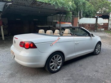Bán gấp em Volswagen miễn trung gian