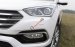 Cần bán Hyundai Santa Fe đời 2017, màu trắng