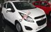 [HOT] Chevrolet Spark Duo hỗ trợ NH trả trước tầm 70 triệu đồng, bảo hành 3 năm, LH Nhung 0907148849