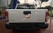 Bán Chevrolet Colorado LT 2.5 MT 4x2, màu trắng, vay 95%
