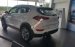 Cần bán Hyundai Tucson 2.0 ATH đời 2017, màu trắng