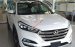 Cần bán Hyundai Tucson đời 2017, màu trắng