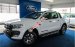 Bán xe Ford Ranger XLS đời 2017, xe nhập Thái, nguyên chiếc (chưa gồm giá giảm). Hotline: 093.309.17.13