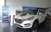 Cần bán Hyundai Tucson đời 2017, màu trắng