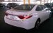 Bán Toyota Camry năm 2014, màu trắng, nhập khẩu nguyên chiếc 