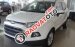 Bán Ford EcoSport Titanium 1.5P AT năm 2017, màu trắng, 658tr