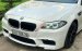 Cần bán BMW 5 Series 528i luxury đời 2014, màu trắng, nhập khẩu nguyên chiếc