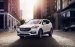 Cần bán Hyundai Santa Fe đời 2017, màu trắng
