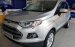 Cần bán xe Ford EcoSport Titanium 1.5l AT đời 2017, màu bạc