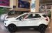 An Đô Ford - Bán các phiên bản Ford Ecosport năm 2017, hỗ trợ trả góp 80%, giao xe ngay