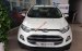 Cần bán xe Ford EcoSport Titanium 1.5P AT sản xuất 2017, màu trắng