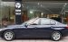 Bán BMW 3 Series 320i đời 2015, màu xanh lam, xe nhập