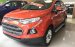 Bán xe Ford EcoSport Titanium 1.5L AT đời 2017