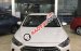 Bán xe Hyundai Elantra đời 2017, màu trắng