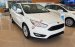 Bán ô tô Ford Focus 1.5 AT Trend Ecoboost đời 2017, màu trắng, 590 triệu