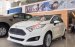 Bán xe Ford Fiesta đời 2017, màu trắng