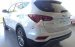 Hyundai Gia Lai - Bán ô tô Hyundai Santa Fe 2017, đủ màu, khuyến mãi 230tr, chỉ từ 898tr, vay vốn 90%, 0915554357