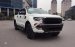 Bán Ford Ranger Wildtrak 3.2 4x4 đời 2017, màu trắng, xe nhập