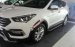 Cần bán Hyundai Santa Fe đời 2017, màu trắng