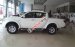 Bán ô tô Mitsubishi Triton 1 cầu tự động mới, màu trắng, xe nhập. LH: Lê Nguyệt: 0911.477.123