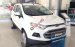 Ford Biên Hòa Ford Ecosport Trend MT 2017 giá giảm sâu nhất hiện nay 0969.756.498 or 093309.1713