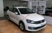 Volkswagen Polo Sedan 2018 - Đại lý Volkswagen Saigon 093368924