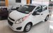 Bán Chevrolet Spark LS đời 2017, màu trắng, nhập khẩu