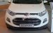Bán Ford EcoSport Titanium 1.5L AT đời 2017, màu trắng giá cạnh tranh