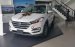 Cần bán Hyundai Tucson 2.0 ATH đời 2017, màu trắng