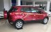 Mua xe Ford Ecosport đời 2017 chính hãng, hỗ trợ trả góp thủ tục nhanh gọn tại Cao Bằng