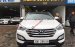 Bán Hyundai Santa Fe 2.4L 4WD năm 2016, màu trắng