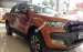 Cần bán Ford Ranger 2.2 Wildtrak tại Hà Giang, nhập khẩu, giá bán cạnh tranh