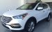 Hyundai Gia Lai - Bán ô tô Hyundai Santa Fe 2017, đủ màu, khuyến mãi 230tr, chỉ từ 898tr, vay vốn 90%, 0915554357