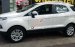 Bán Ford EcoSport Titanium 1.5L AT đời 2017, màu trắng giá cạnh tranh