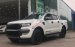 Bán Ford Ranger Wildtrak 3.2 4x4 đời 2017, màu trắng, xe nhập