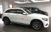 Mercedes GLC 300, mới 100%, xe giao ngay