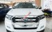 Bán Ford Ranger đời 2017, nhập khẩu (chưa bao gồm giá giảm) hotline: 093.309.17.13