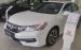 Honda Giải Phóng-Honda Accord 2.4L 2017 mới 100%, màu trắng, nhập khẩu nguyên chiếc, LH 0903.273.696