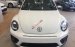 Bán xe Volkswagen Beetle Dune 2017, đối thủ Mini Cooper, màu trắng, giao ngay tháng 12. Lh: 097.8877.754