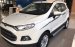 Cần bán Ford EcoSport năm 2017, màu trắng, nhập khẩu chính hãng, giá chỉ 580 triệu