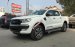 Bán xe Ford Ranger Wildtrak 3.2 AT 4x4 đời 2017, hỗ trợ trả góp hơn 80%, hỗ trợ thủ tục hoàn thiện xe