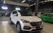 Bán xe Hyundai Santa Fe đời 2017, màu trắng, nhập khẩu nguyên chiếc