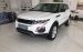 Cần bán LandRover Range Rover Evoque SE Plus đời 2017, màu trắng, nhập khẩu nguyên chiếc