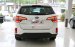 Kia Sorento giá tốt nhất, hỗ trợ trả góp, giao xe ngay