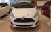 Bán Ford Fiesta 1.5L Sport đời 2017, giá rẻ nhất