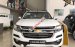 Bán Chevrolet Colorado 2017, màu trắng