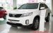 Bán xe Kia Sorento đời 2017, màu đỏ, nhập khẩu nguyên chiếc