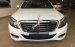 Bán Mercedes S400L đời 2014, màu trắng